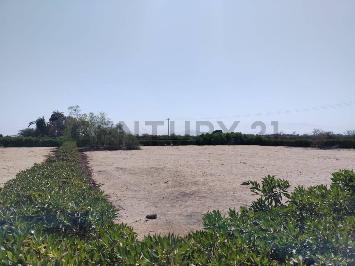 Venta de Lote en Condominio Hacienda Privada – Villacurí, Ica