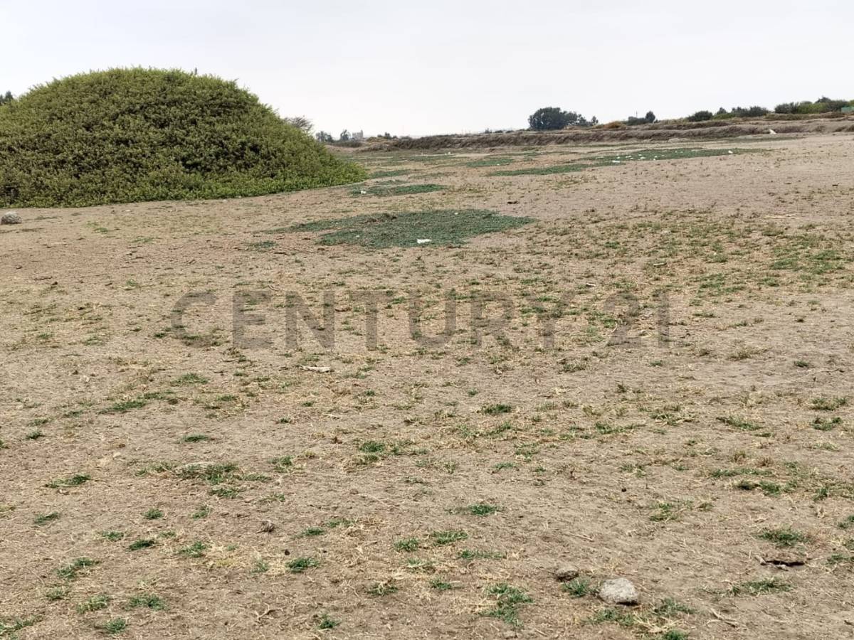 SE VENDE TERRENO 8.6000 HECTÁREAS EN PISCO
