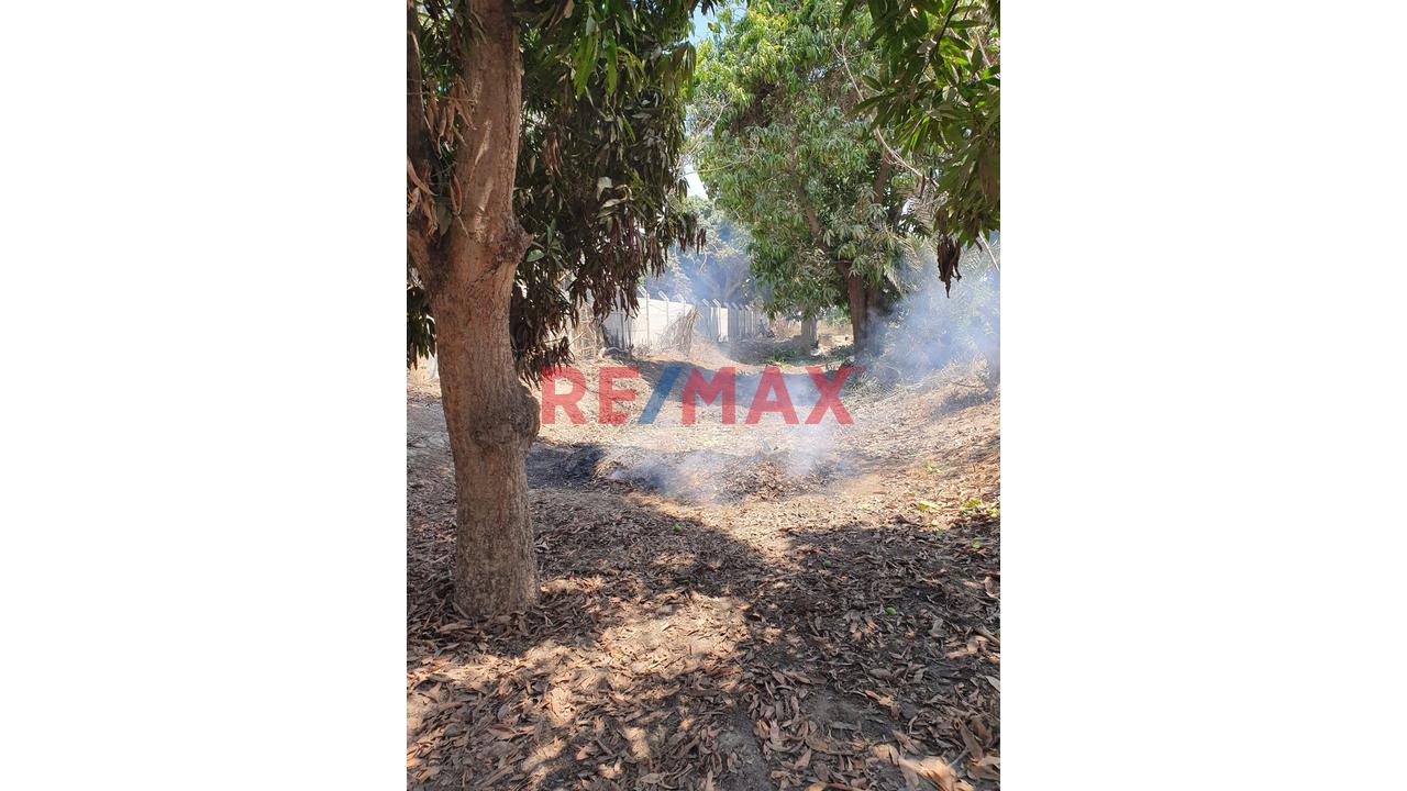 Venta De Terreno De 1204 M2 Para Casa De Campo En Collazos - Salas Guadalupe