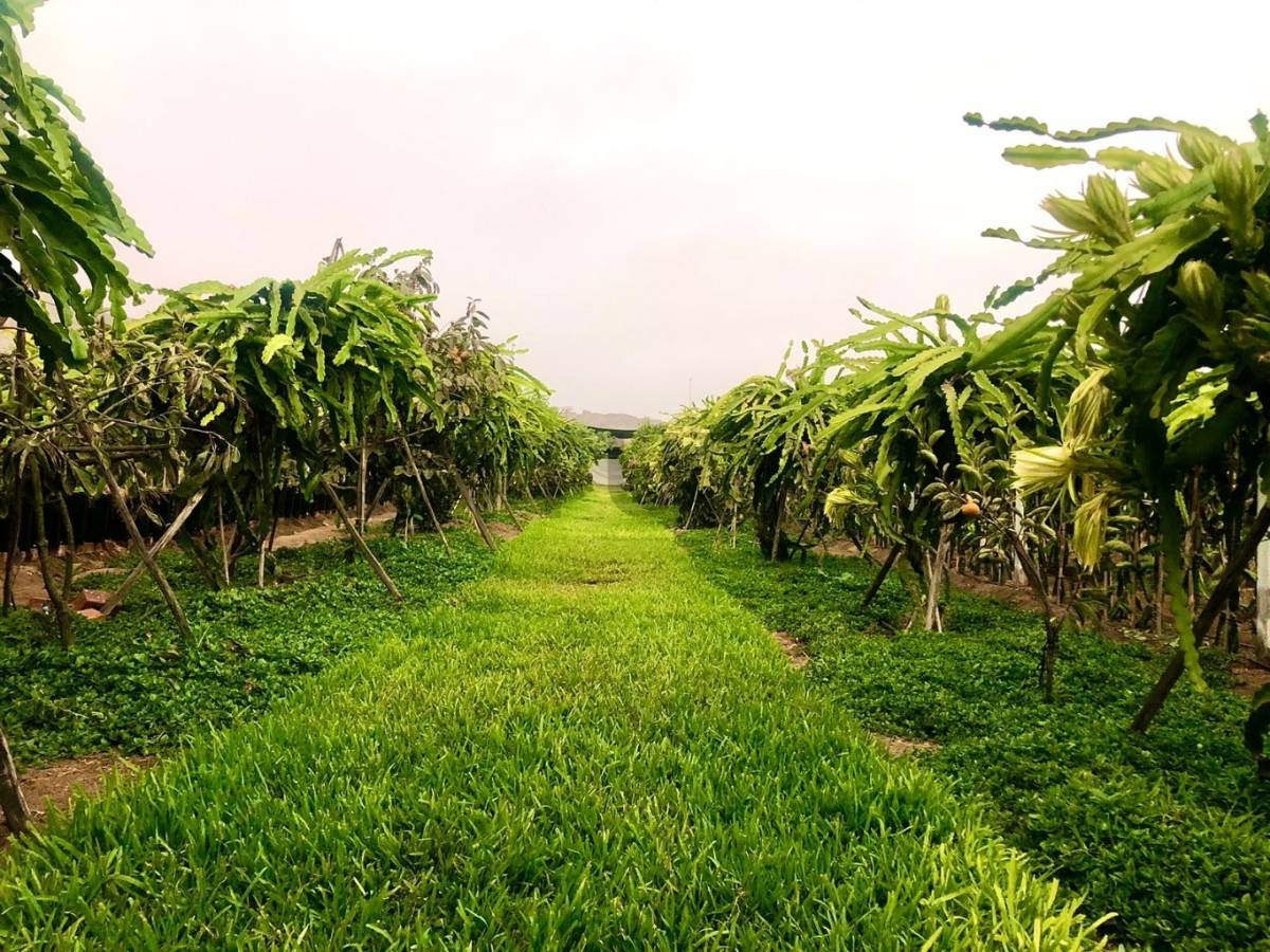 VENDO TERRENO RURAL PARA CASA DE CAMPO EN HUARAL - A PRECIO DE OCASION