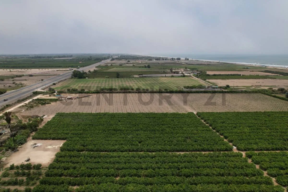 Venta de Terreno Comercial en Chincha Baja, Chincha, Ica